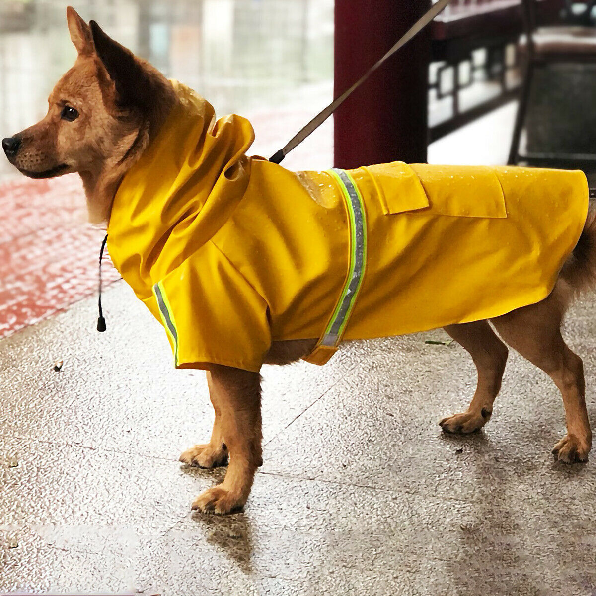 Reflective Waterproof Dog Raincoat with Hood