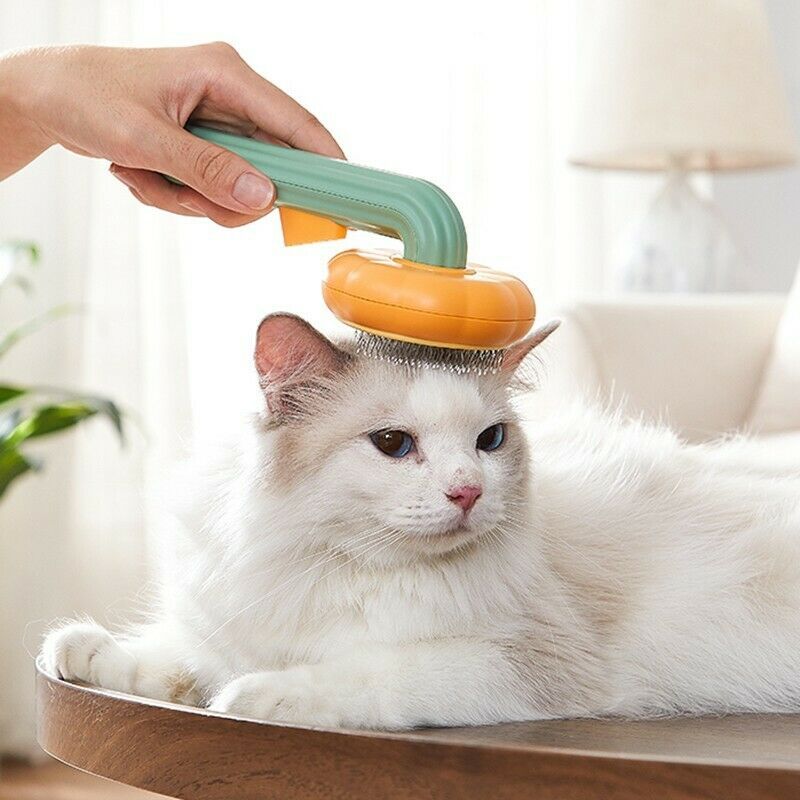 Pet Pumpkin Self-Cleaning Slicker Brush