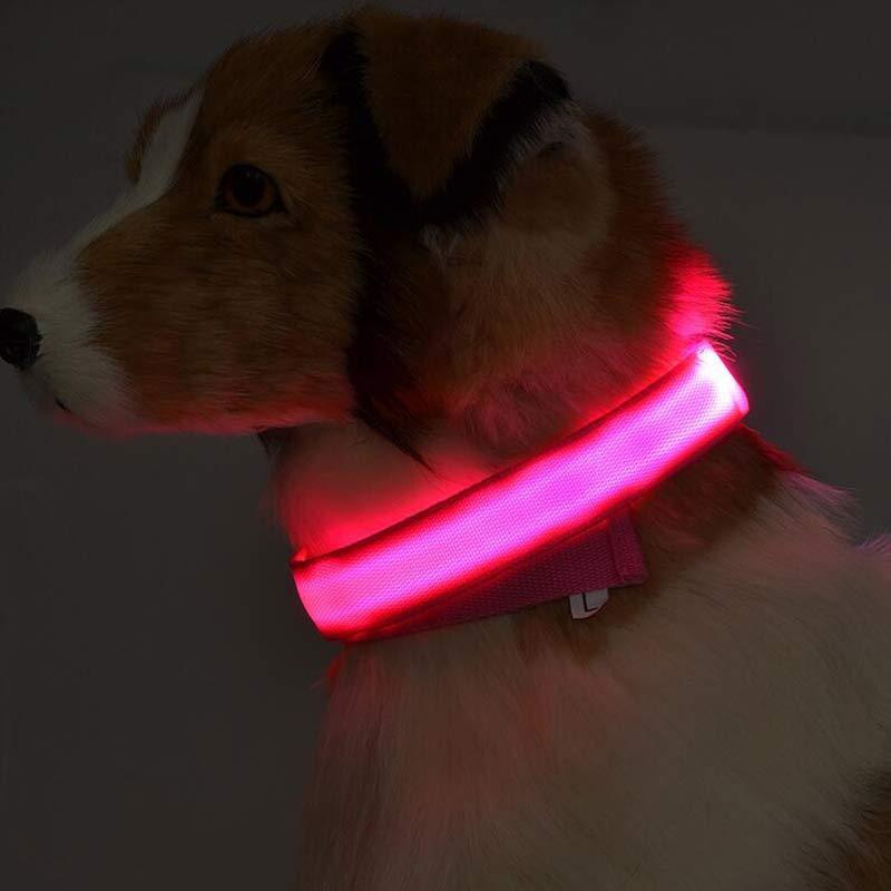 LED Glow-in-the-Dark Nylon Pet Collar – Adjustable & Flashing for Night Safety