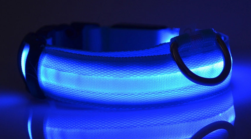 LED Glow-in-the-Dark Nylon Pet Collar – Adjustable & Flashing for Night Safety